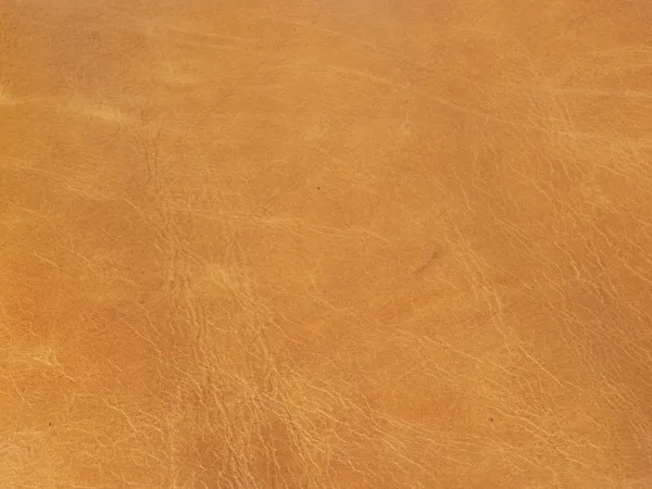 rodzaje sk&oacute;r meblowych anilinowa pigmentowana