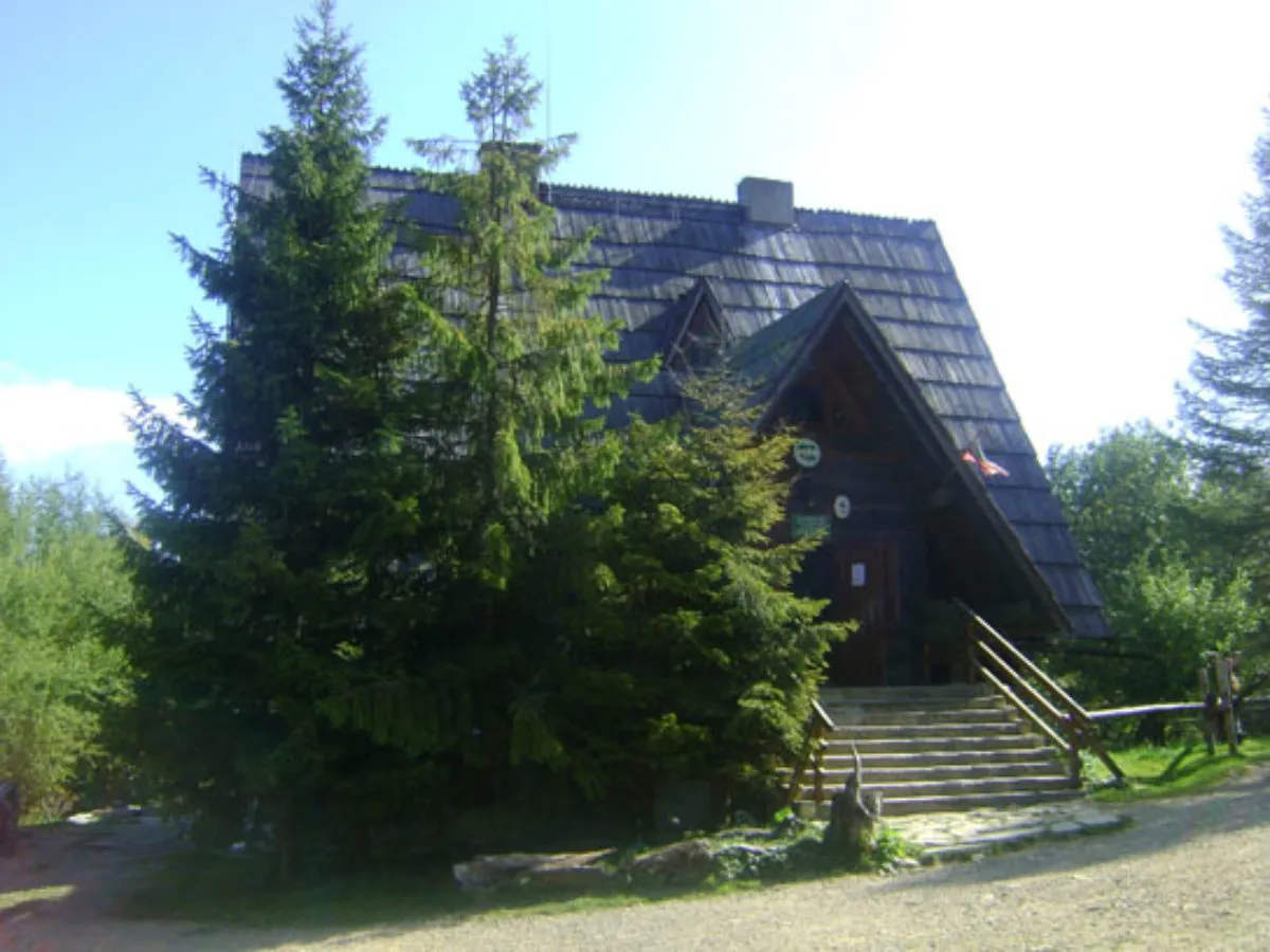 Drewniana bac&oacute;wka mała Rawka z kamiennymi schodami i sosnami w otoczeniu zieleni.