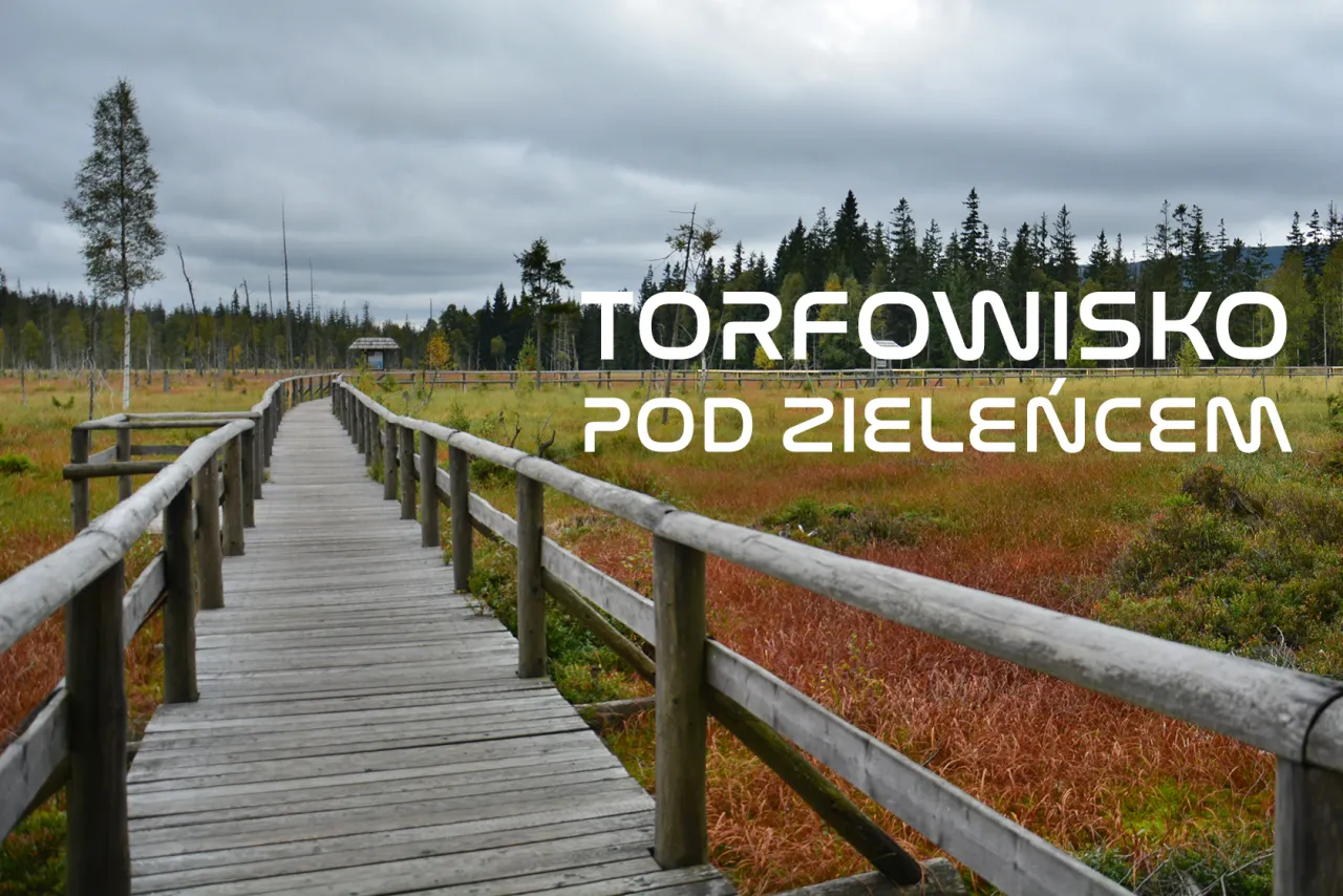 Torfowisko pod Zieleńcem pomosty