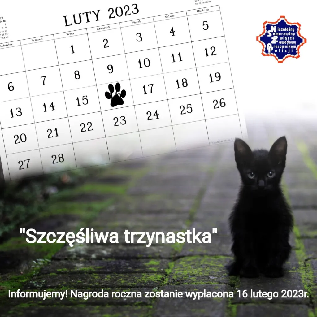 Zdjęcie Kiedy policja otrzymuje wypłatę? Harmonogram i zasady wynagrodzeń policjantów