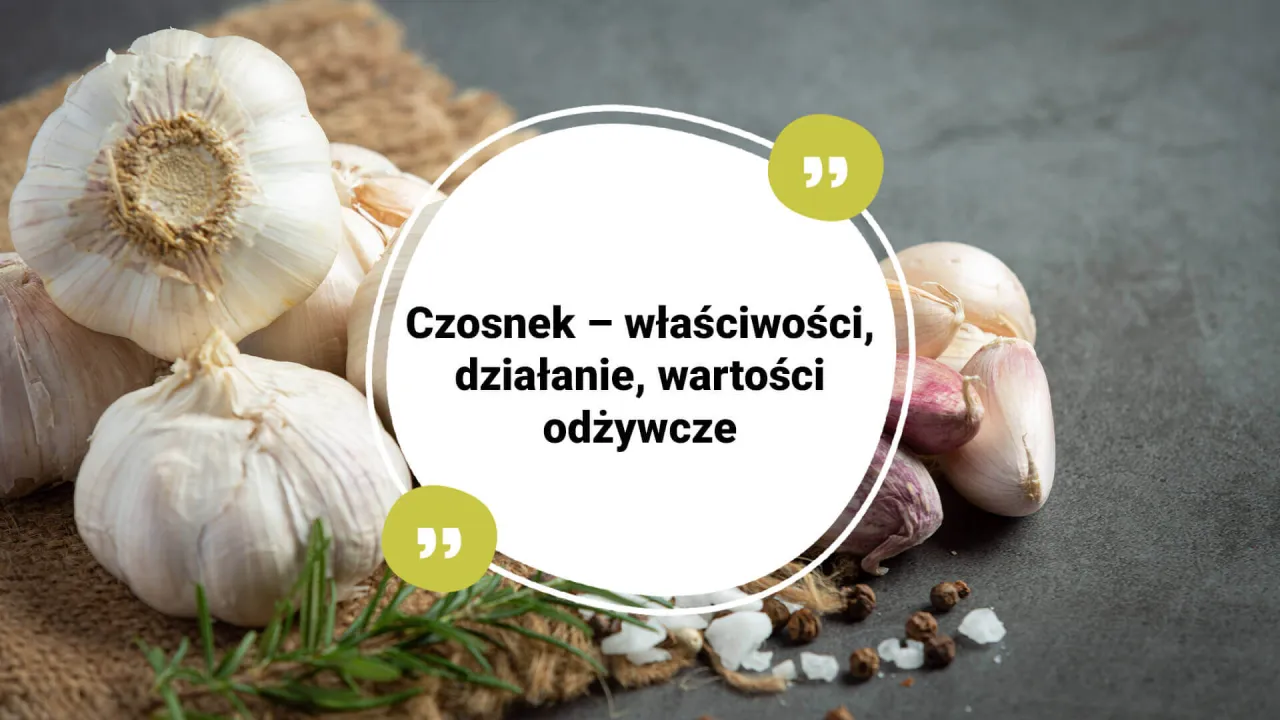 korzyści zdrowotne czosnku infografika