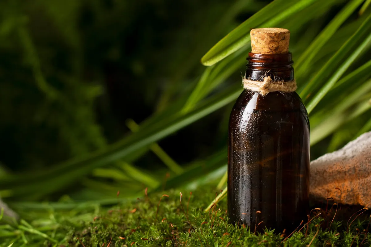 ikoniczne perfumy szyprowe damskie męskie