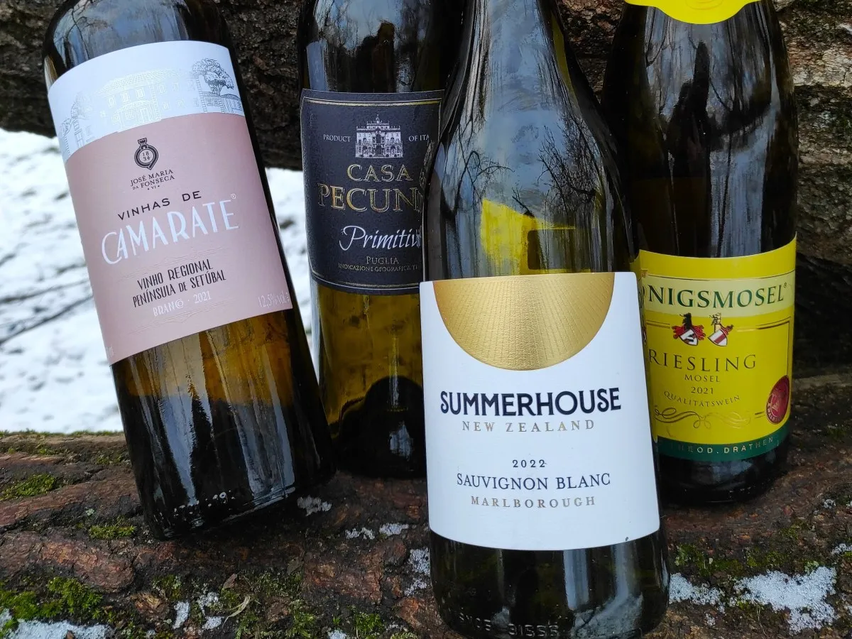 Przykładowe butelki wina Primitivo, Sauvignon Blanc, Prosecco DOCG, Riesling