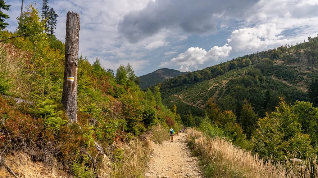 Beskid Żywiecki szlak g&oacute;rski lato