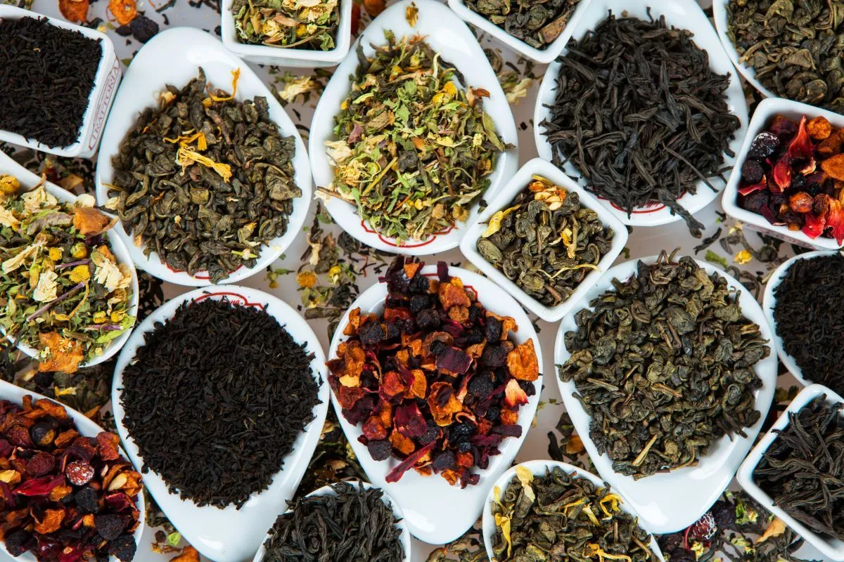 różne rodzaje herbaty: czarna, zielona, biała, oolong, matcha, pu-erh