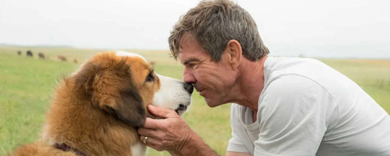 wzruszająca scena z filmu o psie, pies i człowiek przytuleni