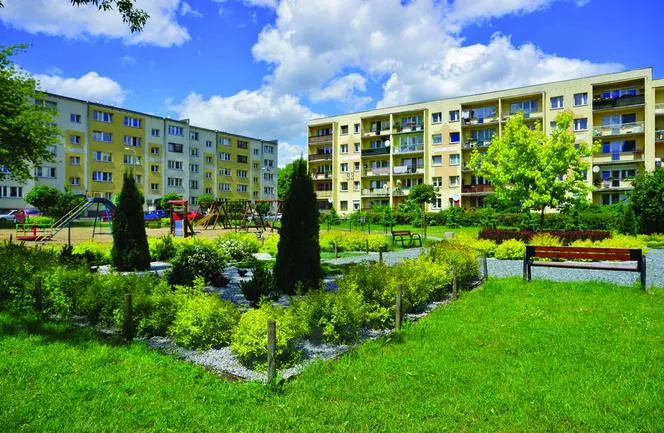 Zdjęcie Tereny zieleni nieurządzonej – co można budować i jakie są zasady