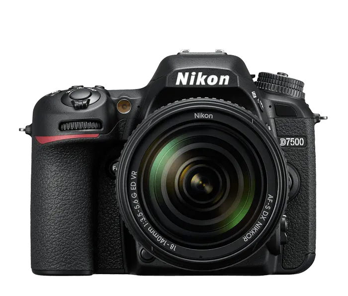 Nikon D7500 w plenerze