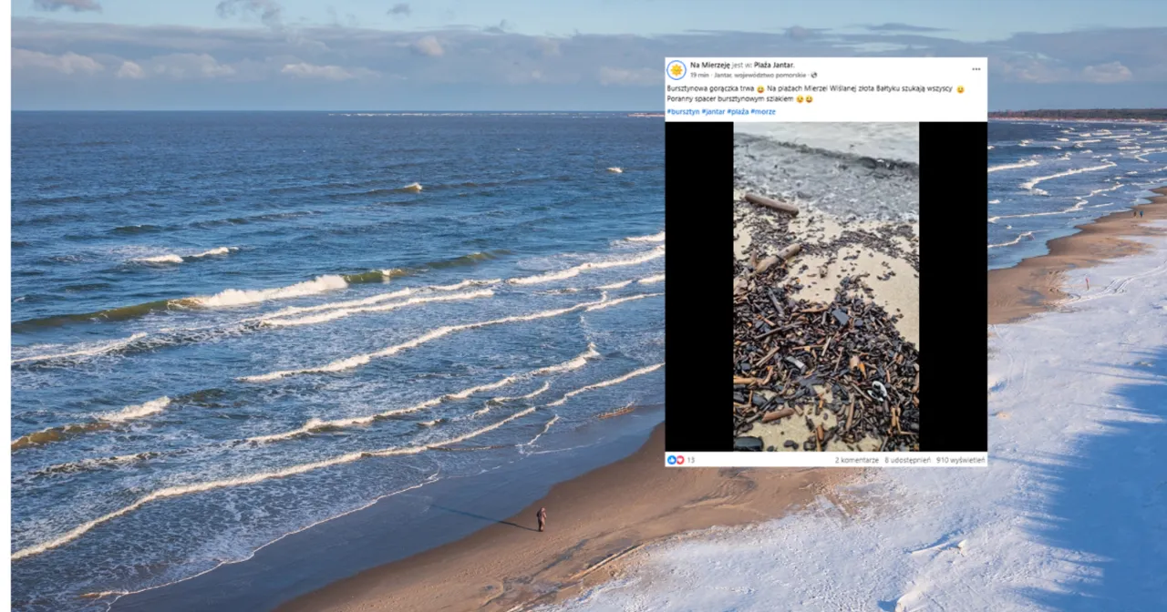 szukający bursztyn&oacute;w po sztormie bałtyk