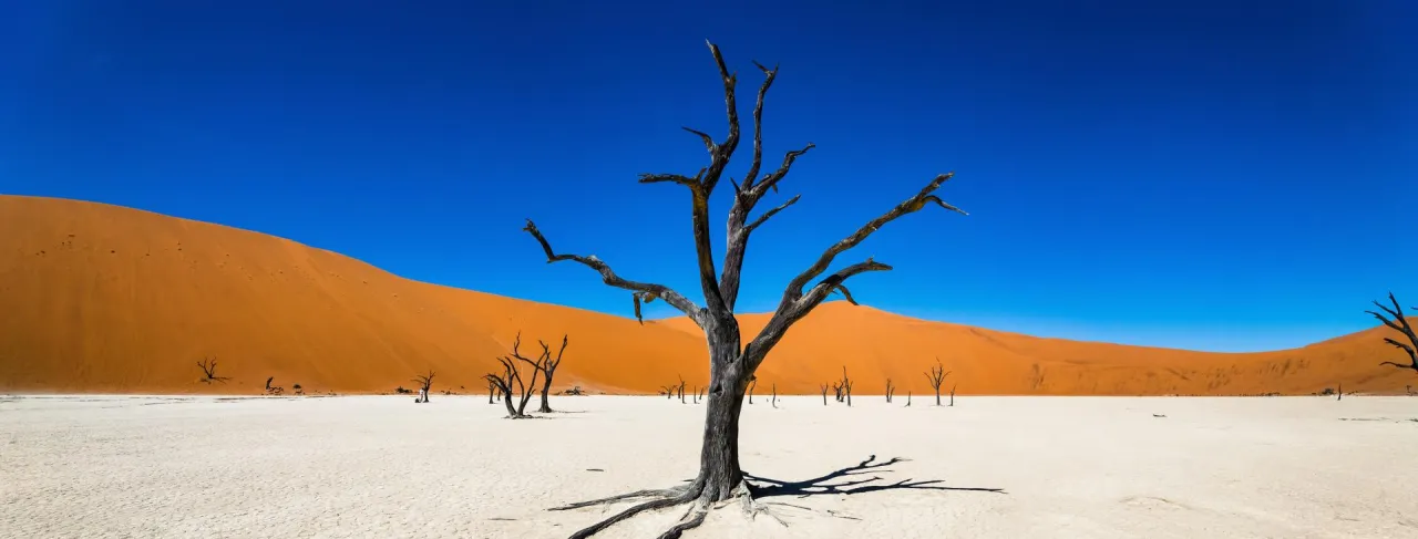 Zdjęcie Namibia kiedy jechać - najlepszy czas na niezapomnianą podróż