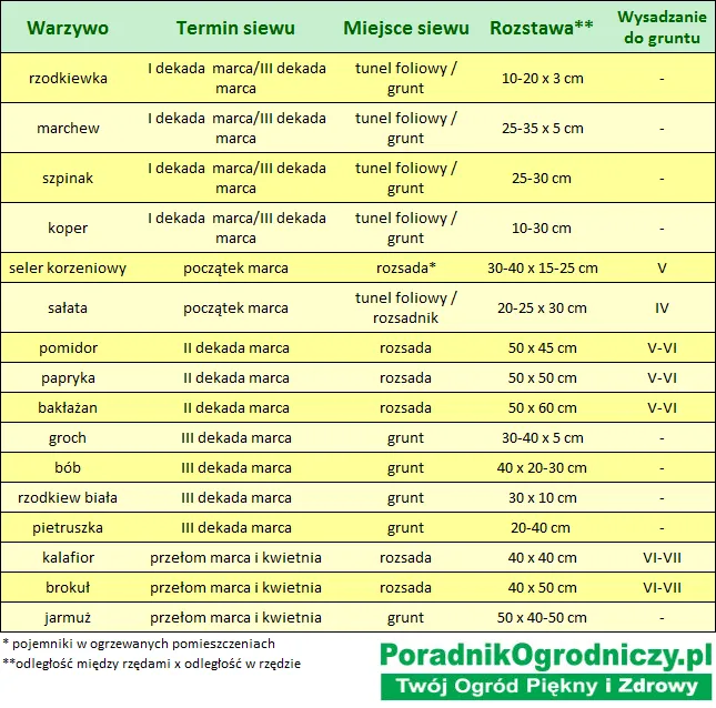 Zdjęcie Jakie warzywa siejemy w marcu do gruntu? Lista i porady ogrodnika