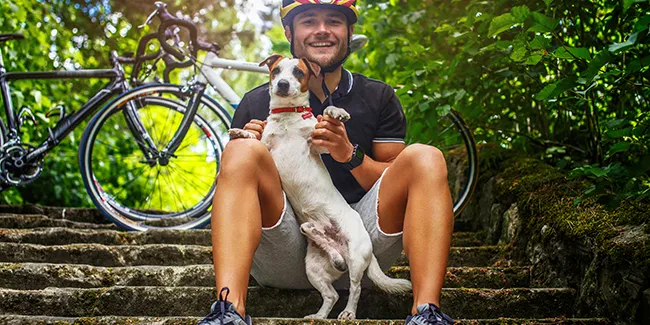 Zdjęcie Chien footing : 10 conseils essentiels pour courir en toute sécurité