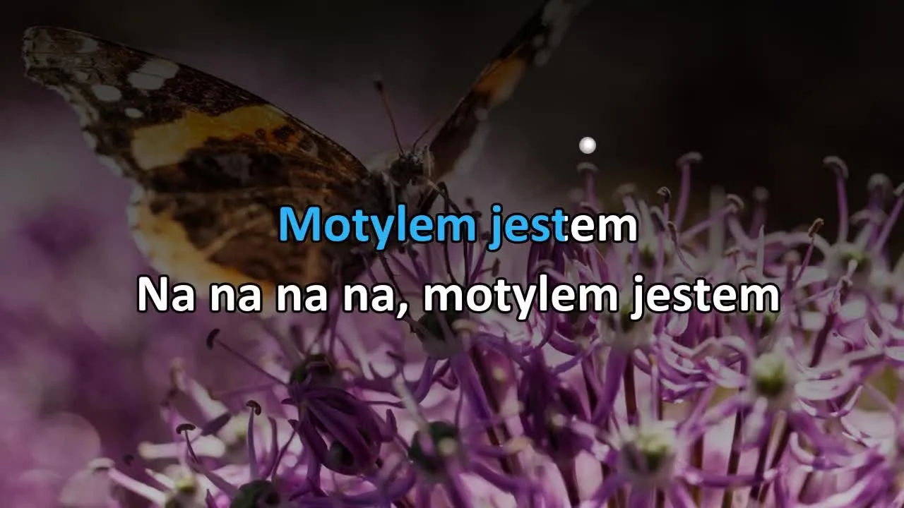 Zdjęcie Motylem jestem - prawdziwy wykonawca, który skradł serca fanów muzyki