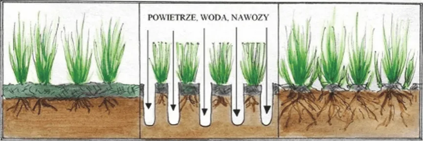 Zdjęcie Jak przygotować trawnik na wiosnę – skuteczne kroki do pięknego i zdrowego trawnika