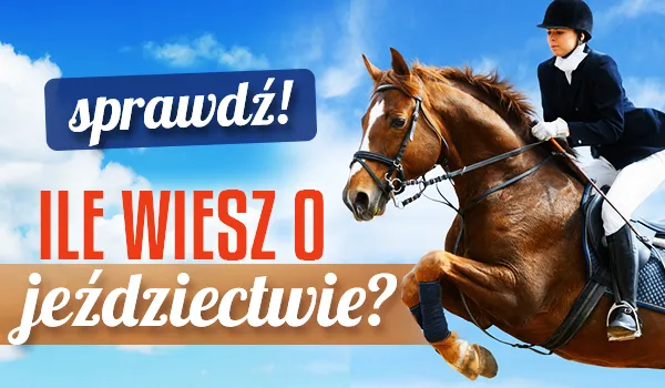 Zdjęcie Najlepsze filmy o jeździectwie, które musisz zobaczyć i poczuć emocje