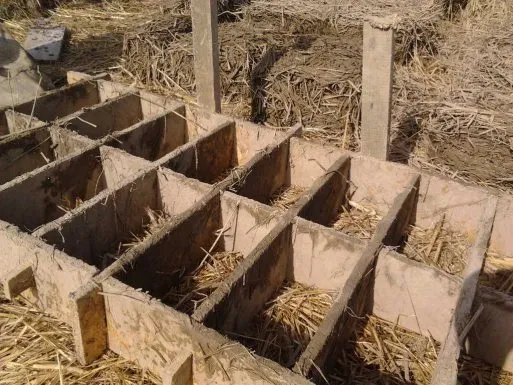 Zdjęcie Jak zrobić cegły z gliny - krok po kroku, unikaj najczęstszych błędów