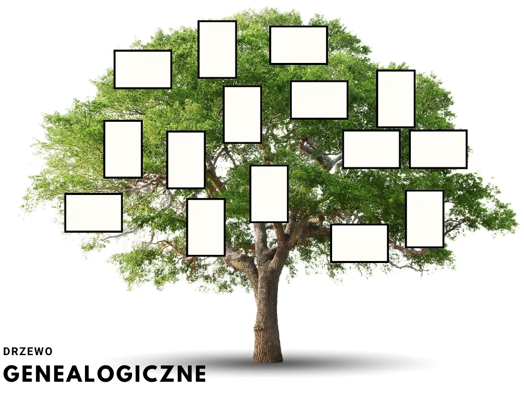 Zdjęcie Jak zrobić drzewo genealogiczne w PowerPoint – proste metody i porady