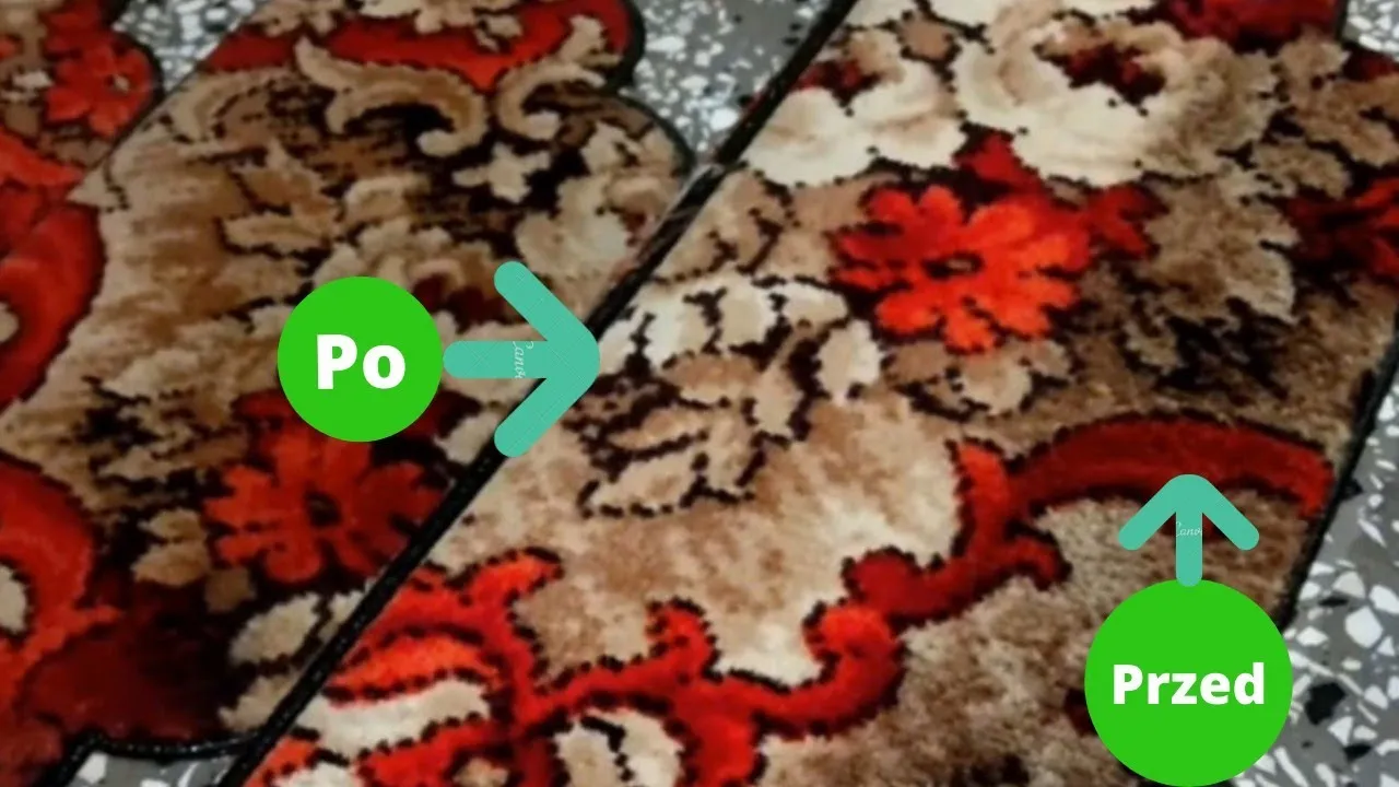 Zdjęcie Jak tanio i skutecznie wyprać wykładzinę bez profesjonalnej pomocy