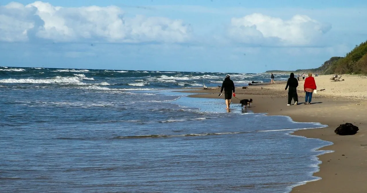 Zdjęcie Dlaczego nad morzem nie ma komarów? Odkryj tajemnice ich braku