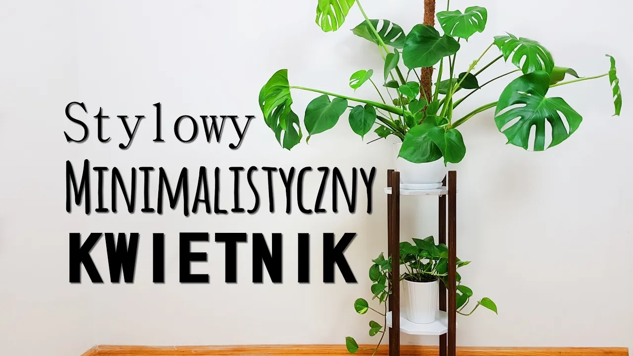 Zdjęcie Z czego zrobić kwietnik do domu? Sprawdź najlepsze materiały i pomysły