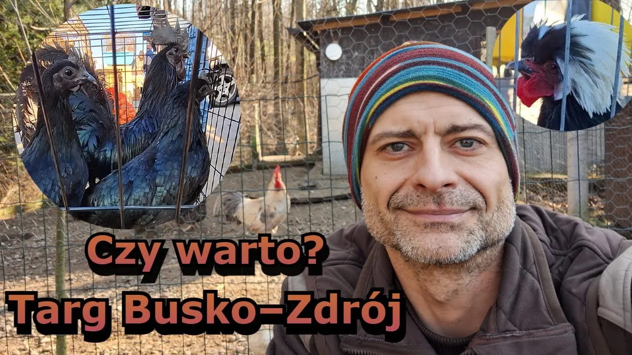 Zdjęcie Kiedy jest giełda zwierząt w Busku-Zdroju? Sprawdź szczegóły!