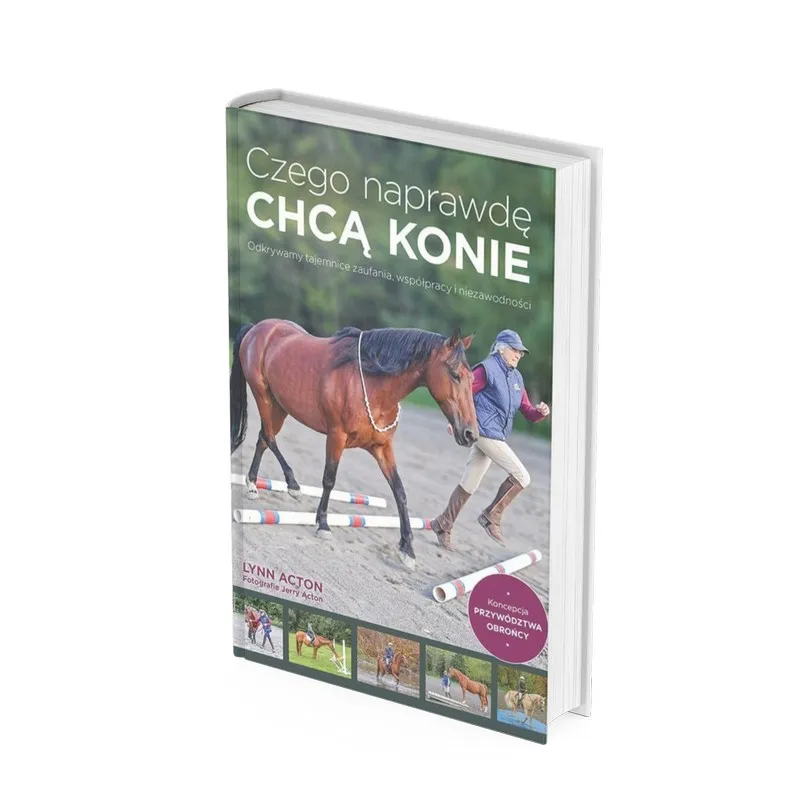 Zdjęcie Czego naprawdę chcą konie? Odkryj ich potrzeby emocjonalne i społeczne