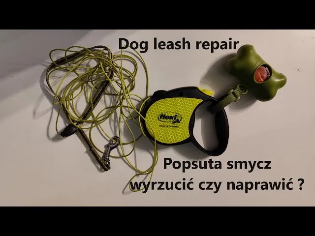 Zdjęcie Jak samodzielnie naprawić sprężynę w smyczy i uniknąć kosztownych błędów