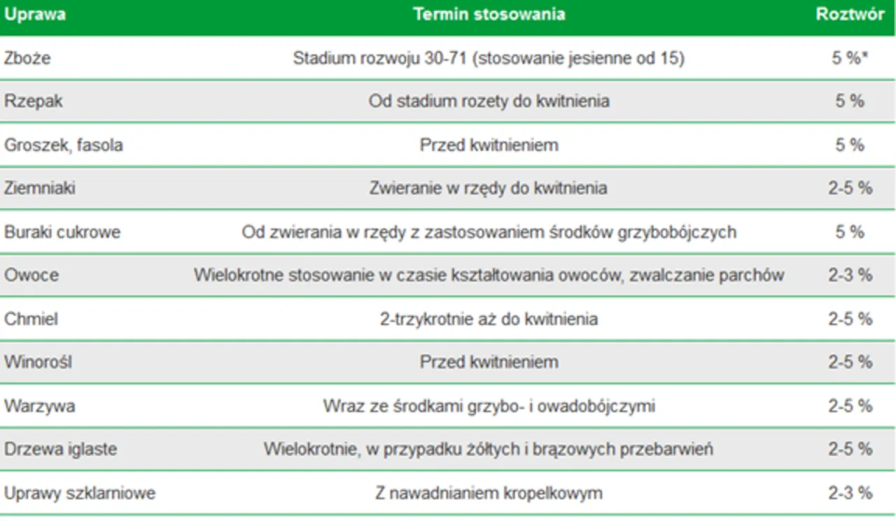 Zdjęcie Jak często stosować siarczan magnezu? Optymalny harmonogram