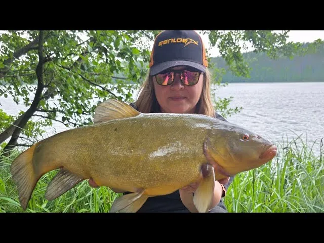 Zdjęcie Kiedy bierze lin? Odkryj najlepsze czasy i warunki połowu