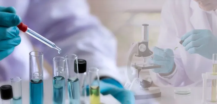 Zdjęcie Co po rozszerzonej biologii? Odkryj najlepsze kierunki studiów
