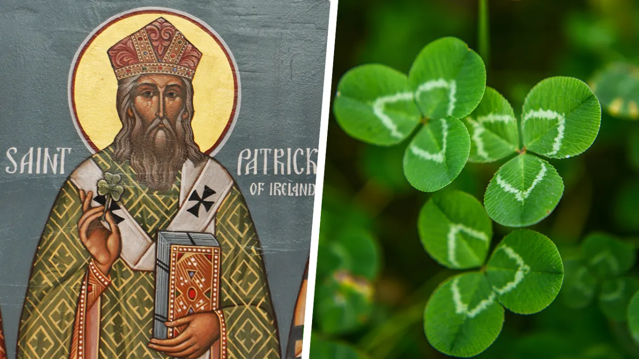 Zdjęcie Jaka roślina jest symbolem Irlandii i dlaczego ma to znaczenie?