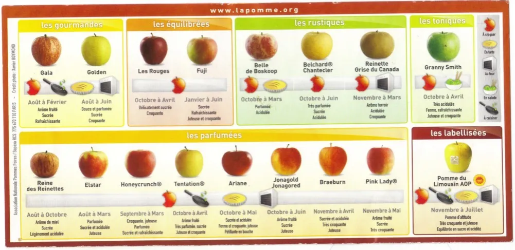 Zdjęcie Combien de sucre dans une pomme ? L'expert répond et vous rassure.