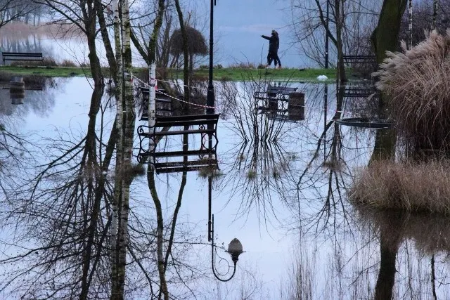 Zdjęcie Jezioro Mogileńskie: tajemnice, atrakcje i aktualny stan ekologiczny