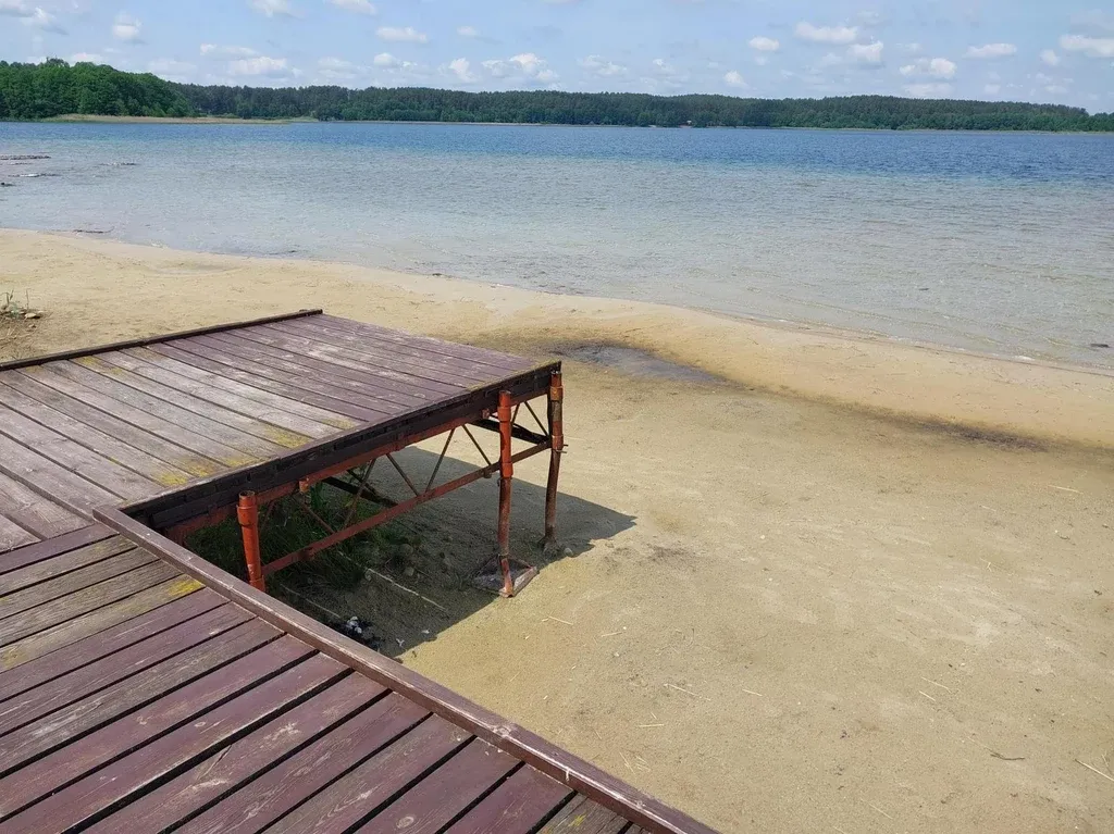 Zdjęcie Jezioro Świętajno Narckie: Cud natury w obliczu suszy i zagrożeń