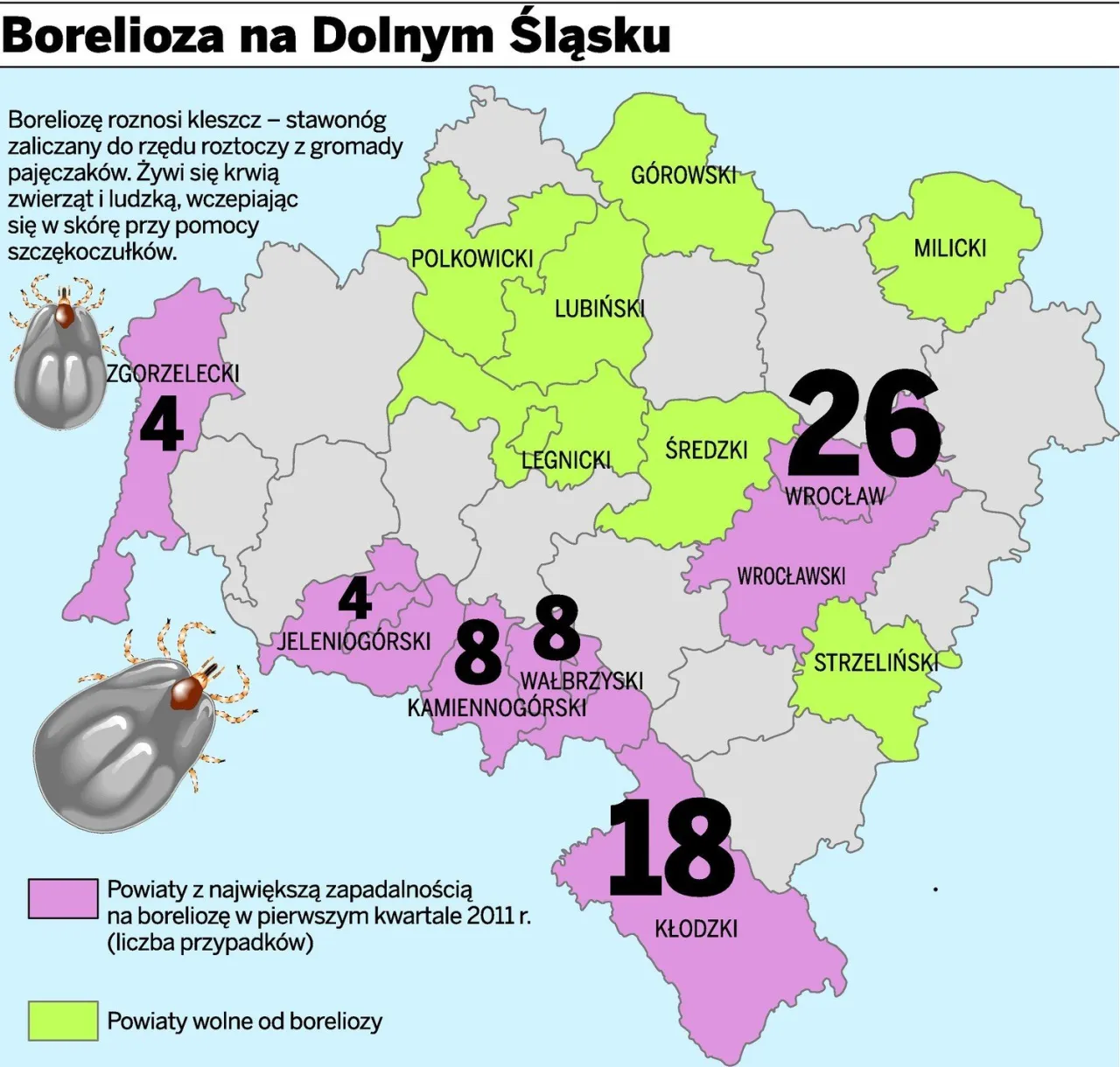 Zdjęcie Najlepsze miejsca gdzie na jagody dolny śląsk: mapy i lokalizacje 2025