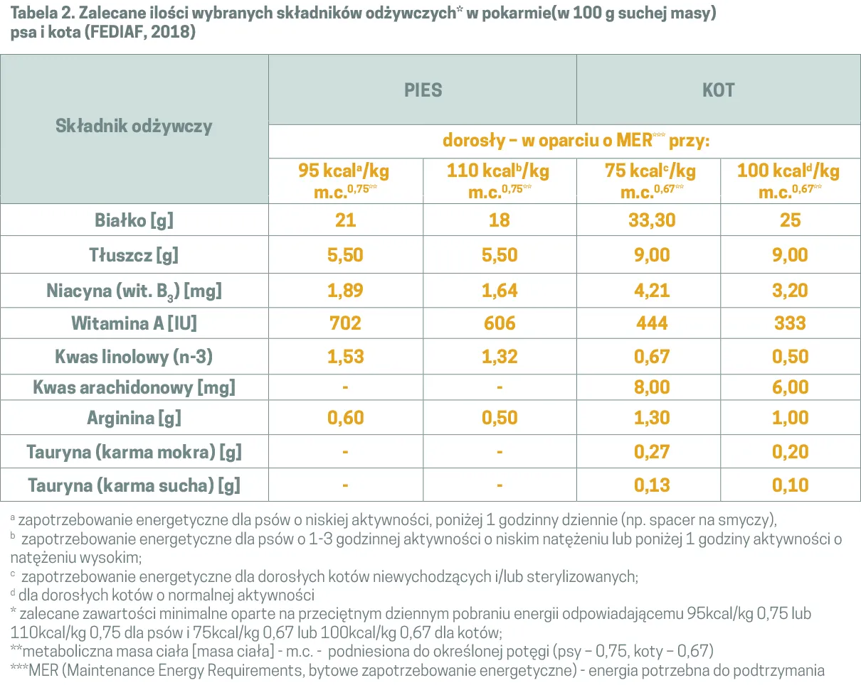 różnice w składzie karmy dla kota i psa infografika