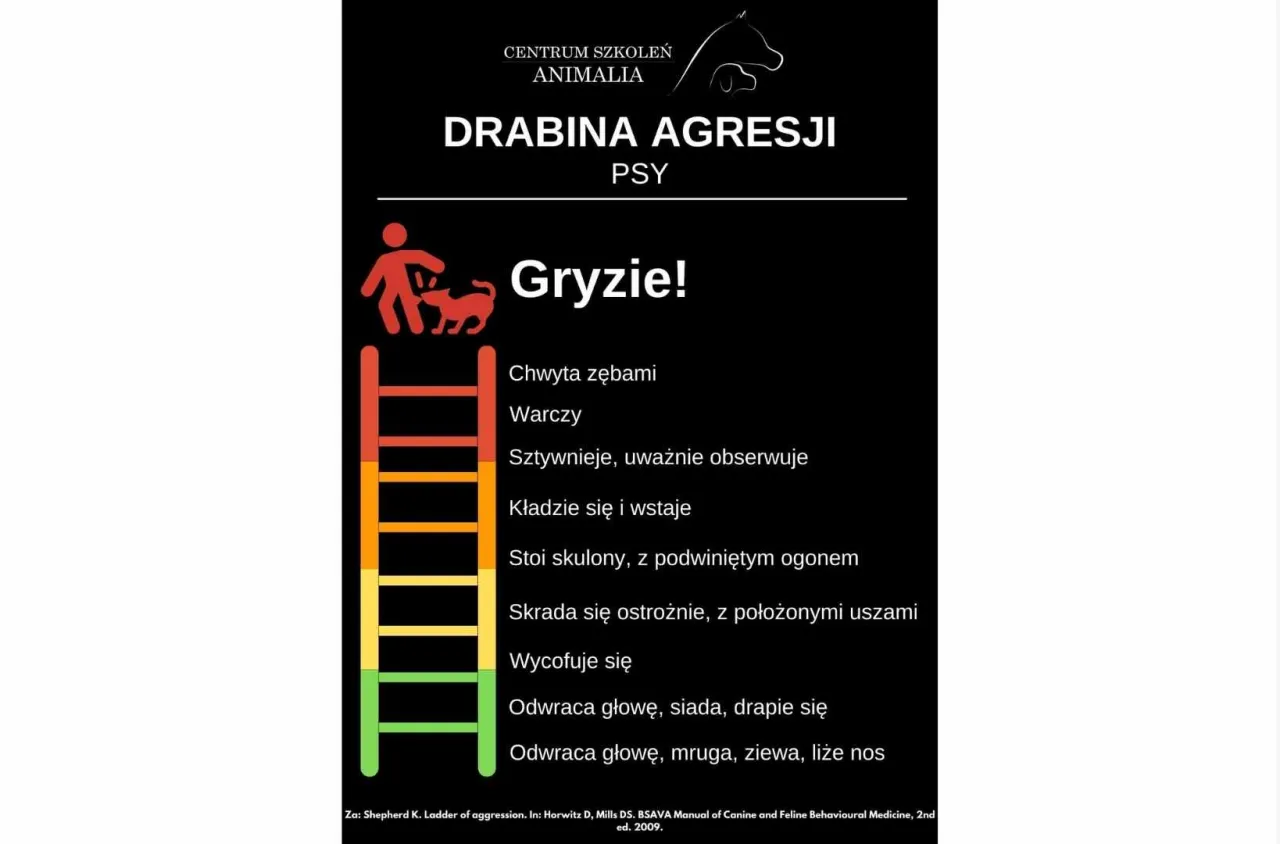 drabina agresji psa szczeniaka