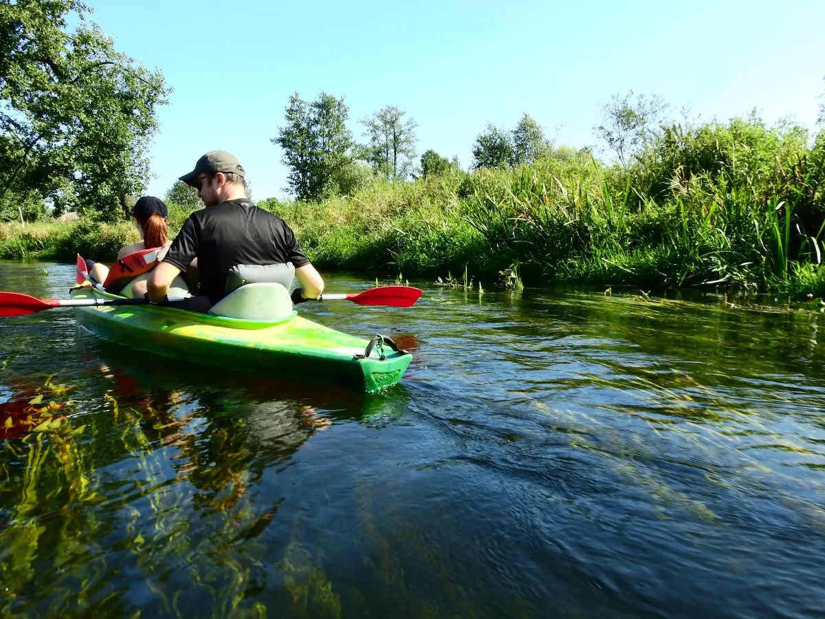 spływ kajakowy Wkra Joniec malownicza rzeka