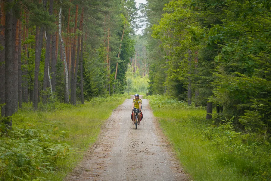 Green Velo Lasy Janowskie rowery