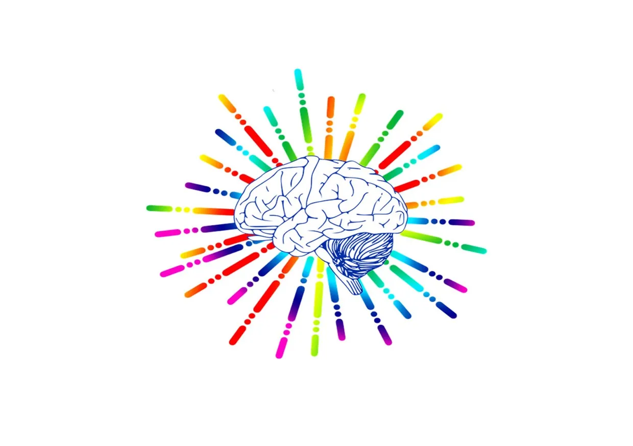 mózg autyzm różnice połączenia