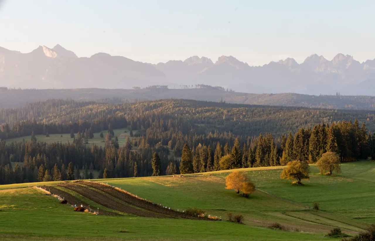 Wierch Rusiński panorama Tatr