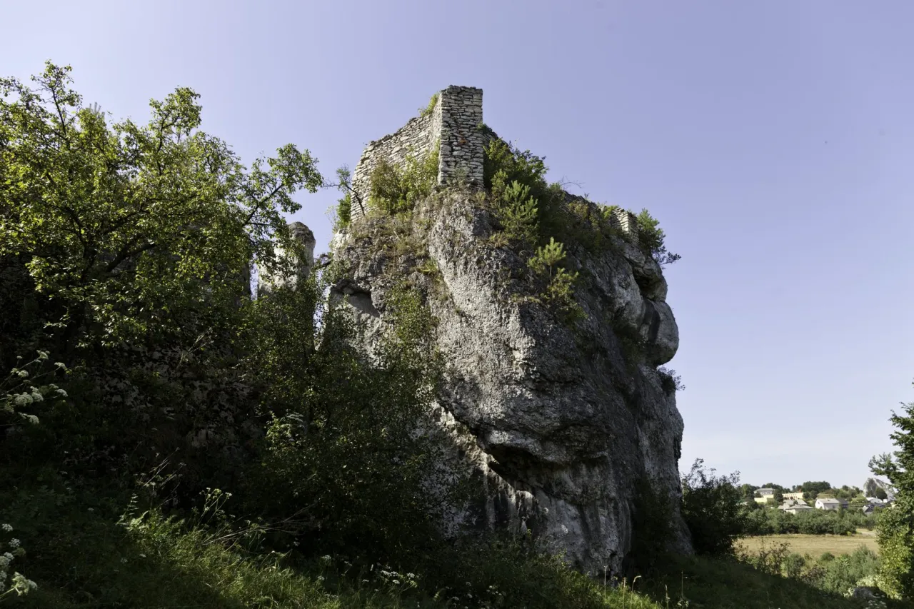 Rekonstrukcja strażnicy w Ryczowie