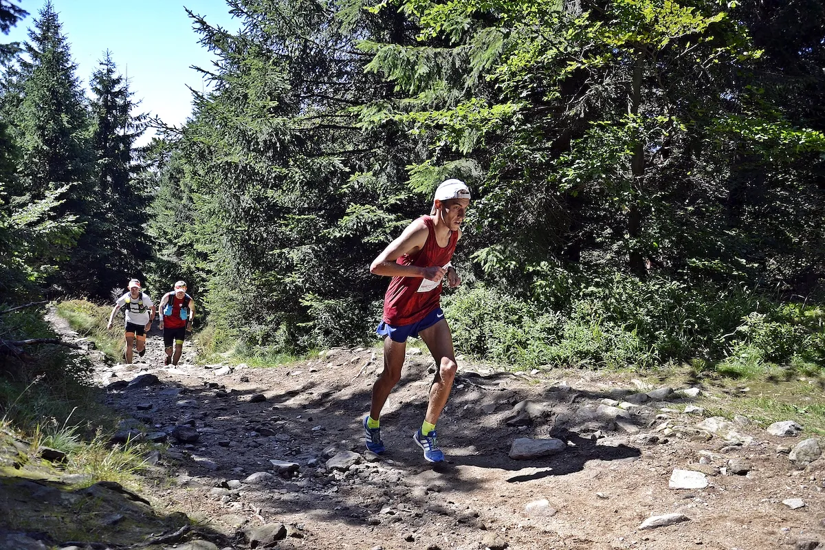 biegacz górski na szlaku