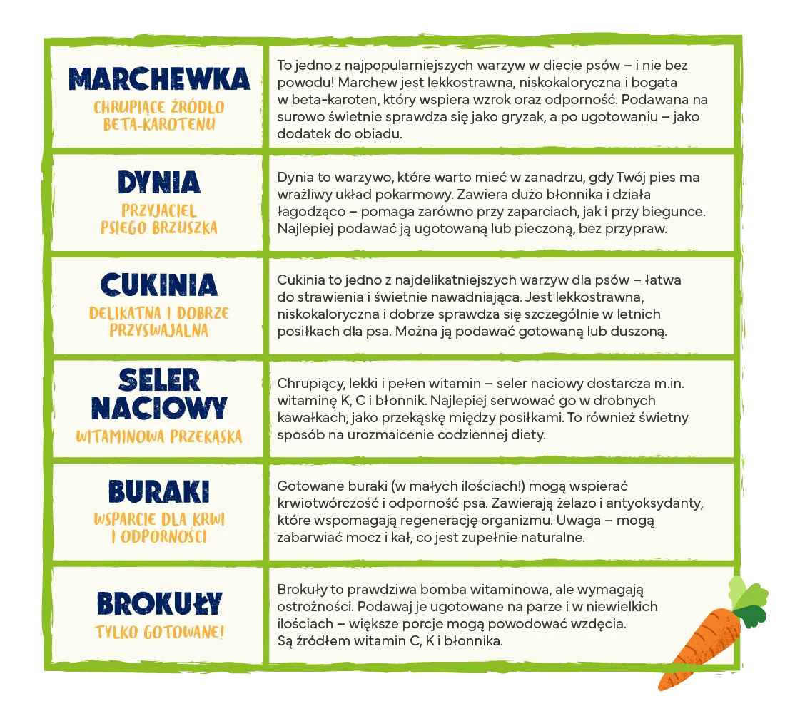 zakazane warzywa dla psa lista