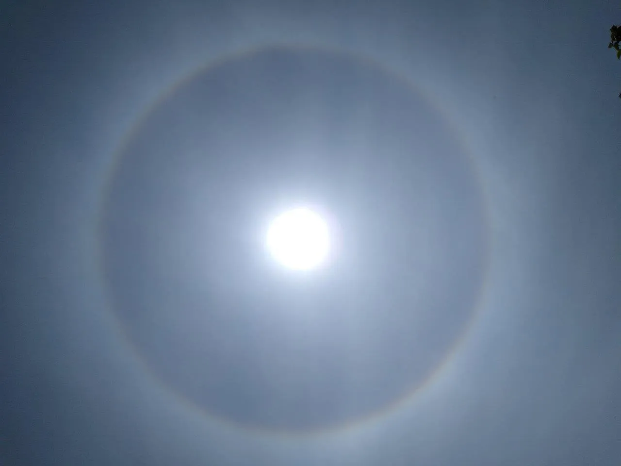 zjawisko halo słoneczne księżycowe