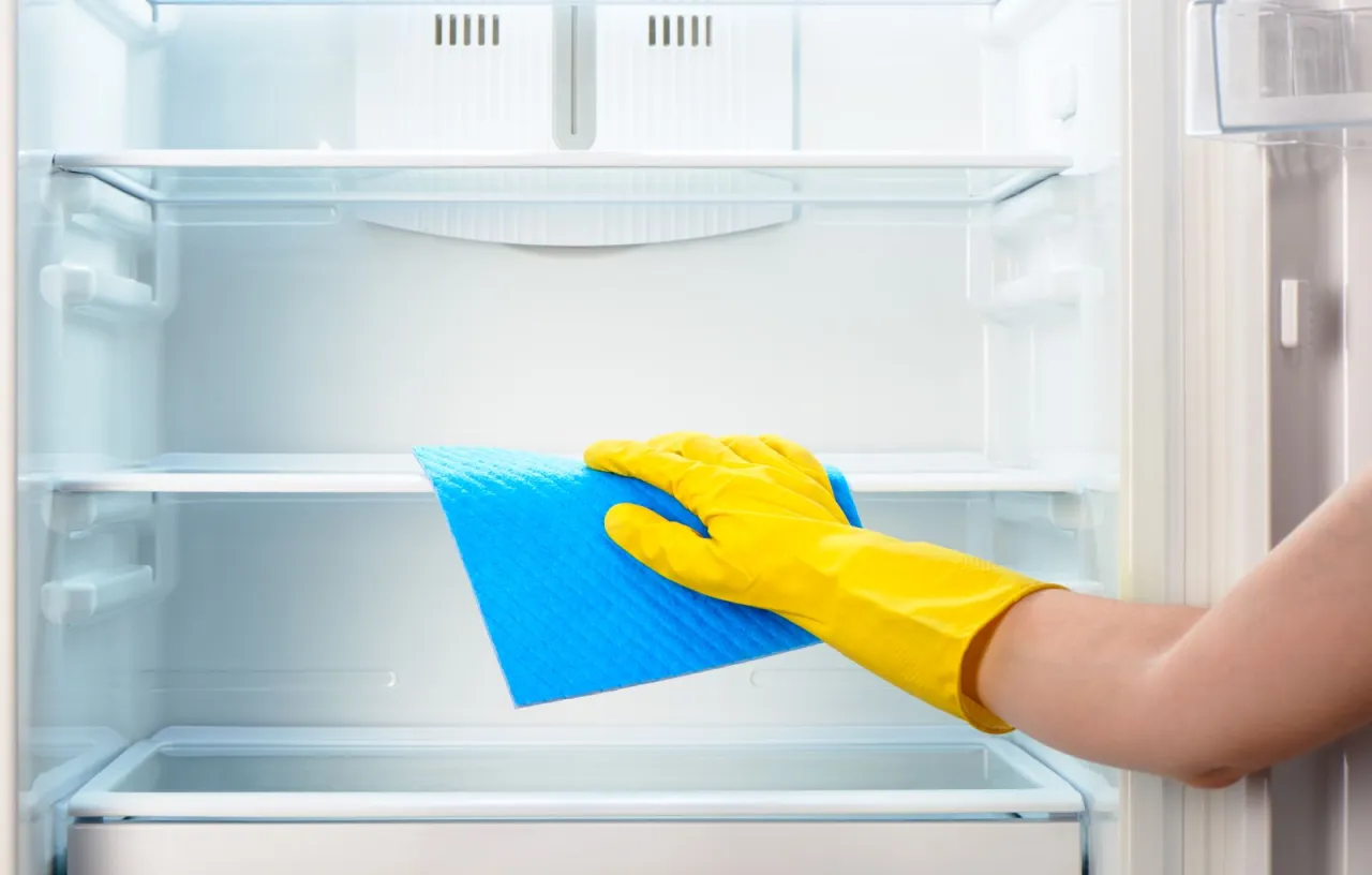 mycie wnętrza nowej lod&oacute;wki krok po kroku, czyszczenie uszczelek lod&oacute;wki