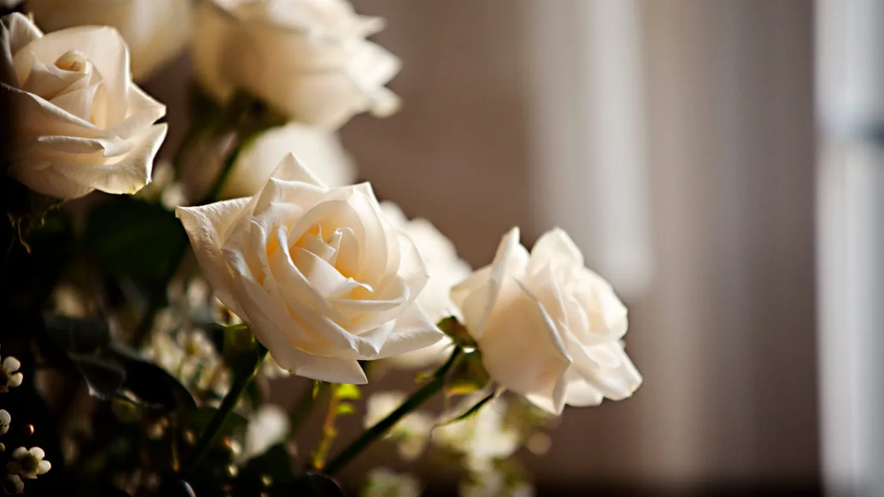 Cytaty o przemijaniu, inspirujące sentencje o życiu i śmierci