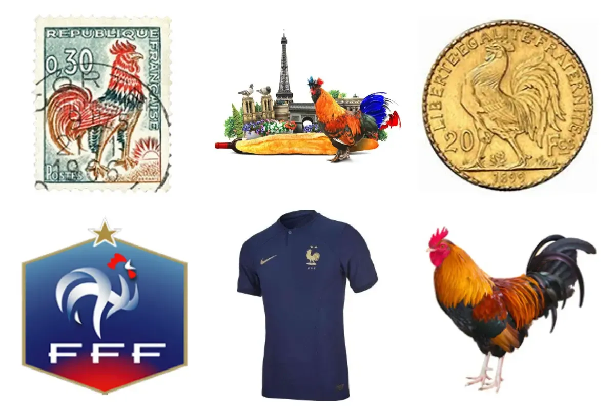 Kogut symbol Francji na znaczku, monecie, koszulce FFF i w scenie z Wieżą Eiffla.