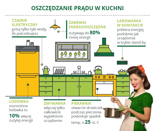 oszczędzanie energii w kuchni ikony