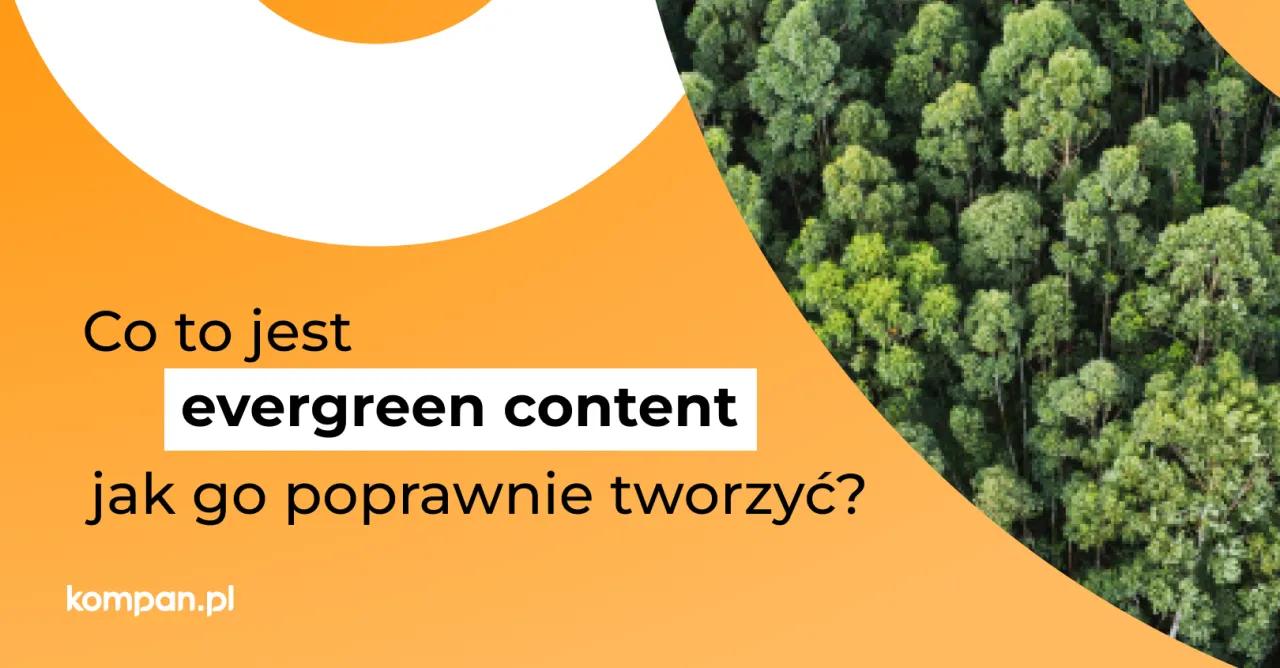 Co to jest evergreen content? Jak go tworzyć? Obraz przedstawia gęsty las, symbolizujący trwałość i wieczną zieleń.